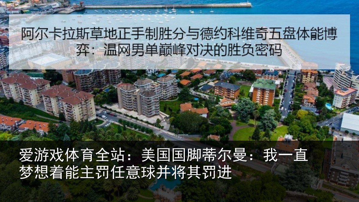 爱游戏体育全站：美国相关情况相关情况球并将其罚进
