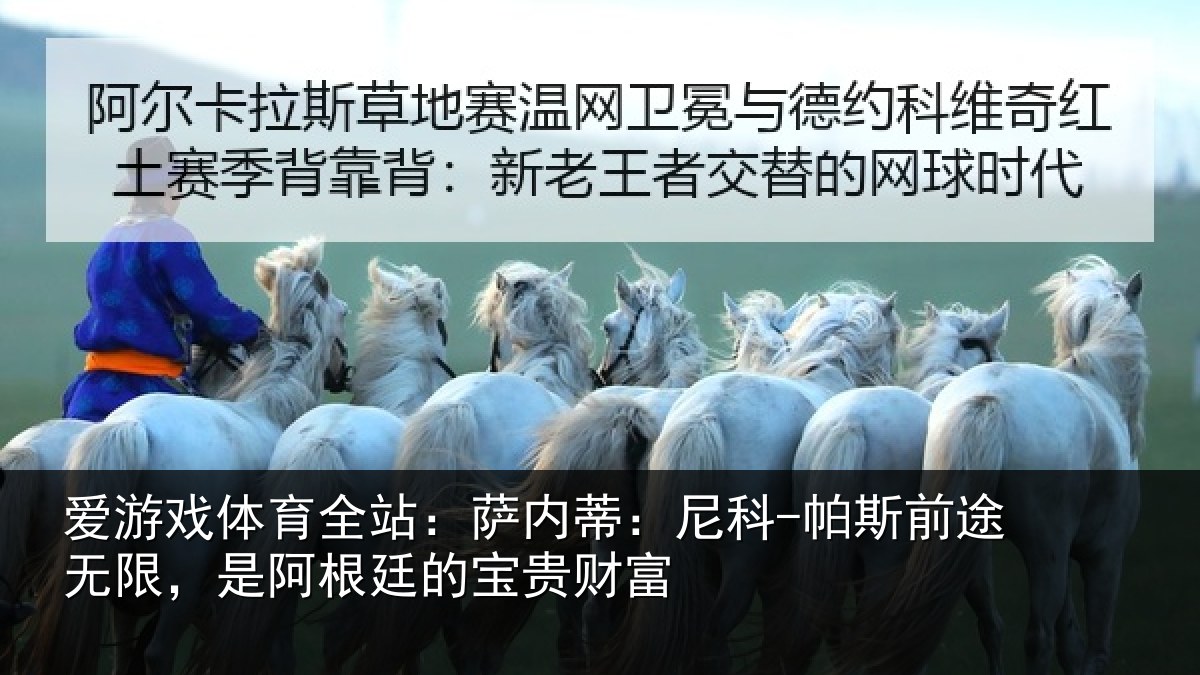 爱游戏体育全站：萨内蒂：尼科相关情况贵财富