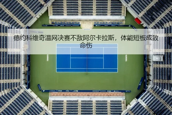 德约科维奇温网决赛不敌阿尔卡拉斯，体能短板成致命伤