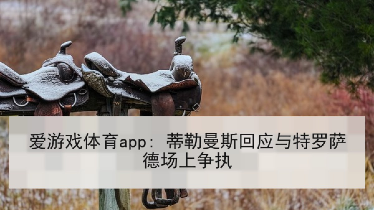 爱游戏体育app: 蒂勒曼斯回应与特罗萨德场上争执