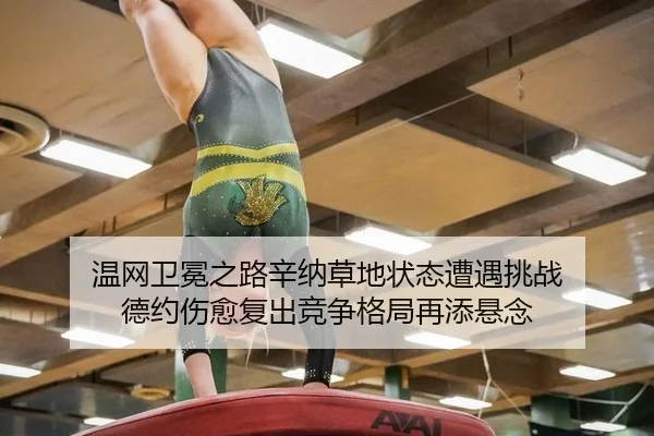 wen-wang-wei-mian-zhi-lu-xin-na-cao-di-zhuang-tai-zao-yu-tiao-zhan-de-yue-shang-yu-fu-chu-jing-zheng-ge-ju-zai-tian-3-716.jpg